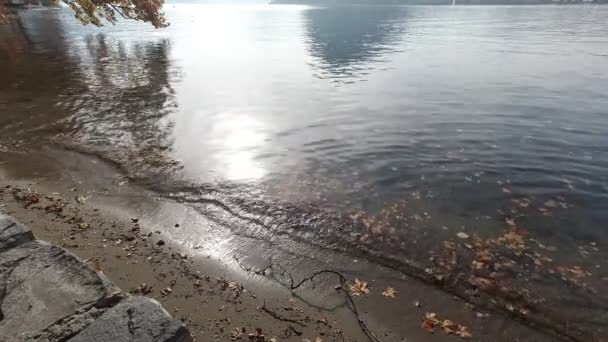Costa do Lago de Lugano com ondas, sol e árvores outonais reflexão — Vídeo de Stock