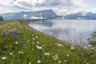 Arka planda İsviçre İtalya sınırının zirveleri ve çiçekli çayırları olan küçük bir alp gölü kıyısı. Resia Pass, Alto Adige Sudtirol, İtalya