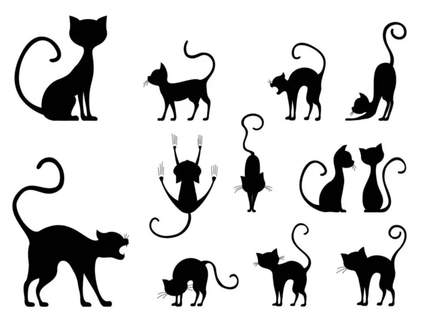 Collection of elegance halloween cat silhouettes. — Stock Vector