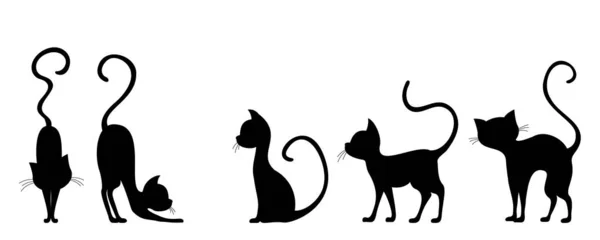 Set of silhouettes of elegant cats on a white background — Stock Vector