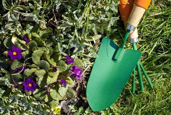 Attrezzi da giardino — Foto Stock