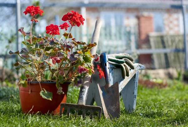 Attrezzi da giardino — Foto Stock