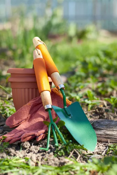 Gartengeräte — Stockfoto