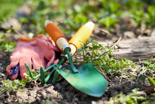 Gartengeräte — Stockfoto