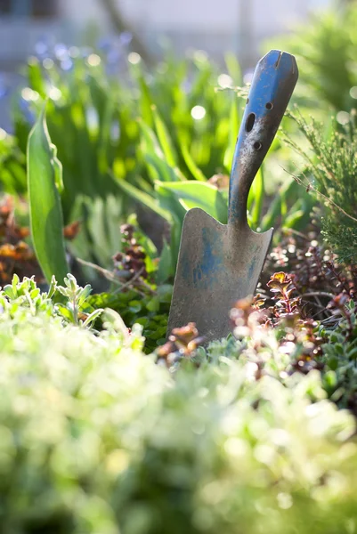 Attrezzi da giardino — Foto Stock