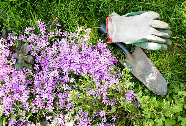 Narzędzia ogrodnicze — Zdjęcie stockowe