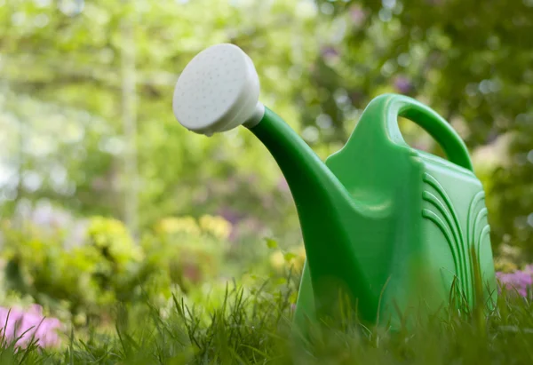 Garden watering can — Stock Photo, Image