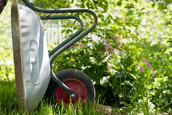 정원에 있는 손수레 — 스톡 사진