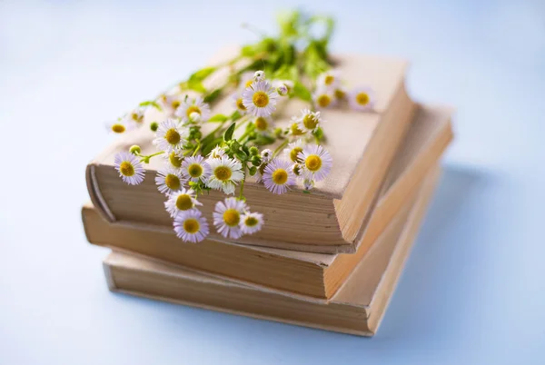 Frische weiße Gänseblümchen auf einem Stapel Bücher — Stockfoto