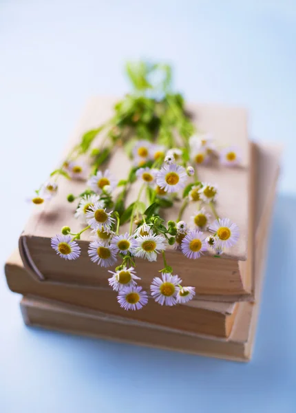 Marguerites blanches fraîches sur un tas de livres — Photo