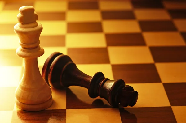 Två king schackpjäser — Stockfoto