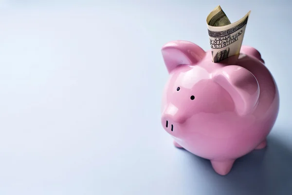 Pink piggy bank with a dollar bill in the slot — Stock Photo, Image