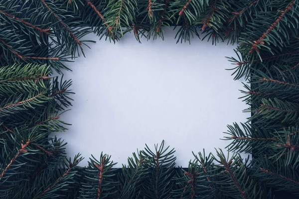 Frame Evergreen Pine Fronds Blank Central White Card Copyspace Your — Stock Photo, Image