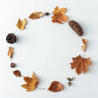 Mevsimlik sonbahar ya da sonbahar dekoratif çerçeve beyaz üzerinde merkezi fotokopi alanı ile bir daire içinde düzenlenmiş