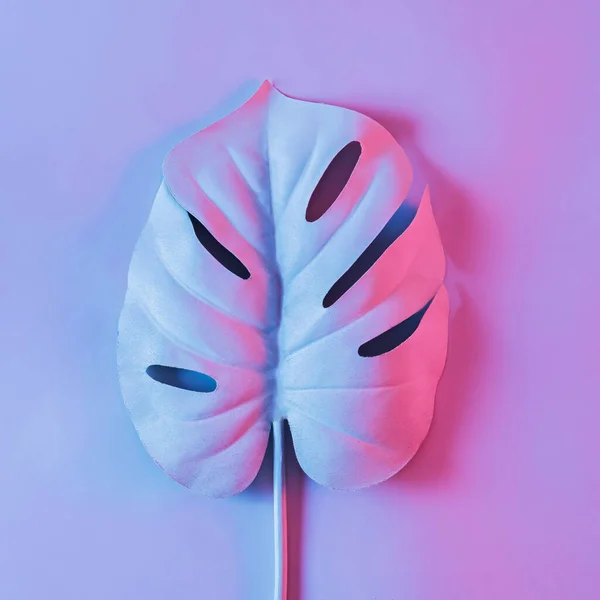 Large Leaf Plant Monstera Cyber Neon Lighting Minimal Synthwave Retrowave — Stockfoto