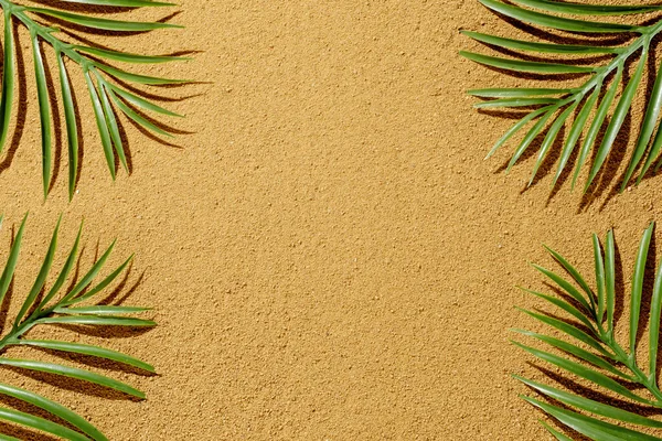 Background Summer Yellow Sand Texture Tropic Palm Branches Bright Sunlight — Fotografia de Stock