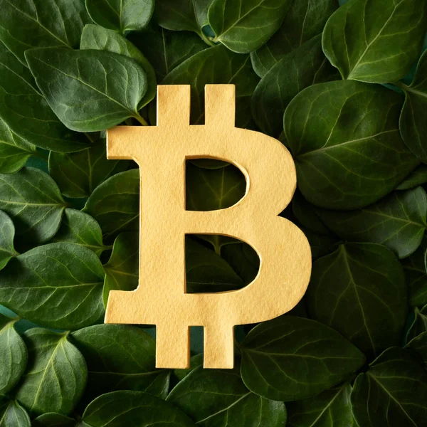 Bitcoin Crypto Currency Internet Finance Green Leaves Texture Concept Growth — Stockfoto