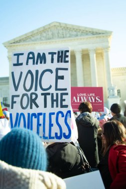 1 Aralık 2021 'de Washington, DC' de Roe v. Wade 'e karşı açılan davada protestocular toplandı.