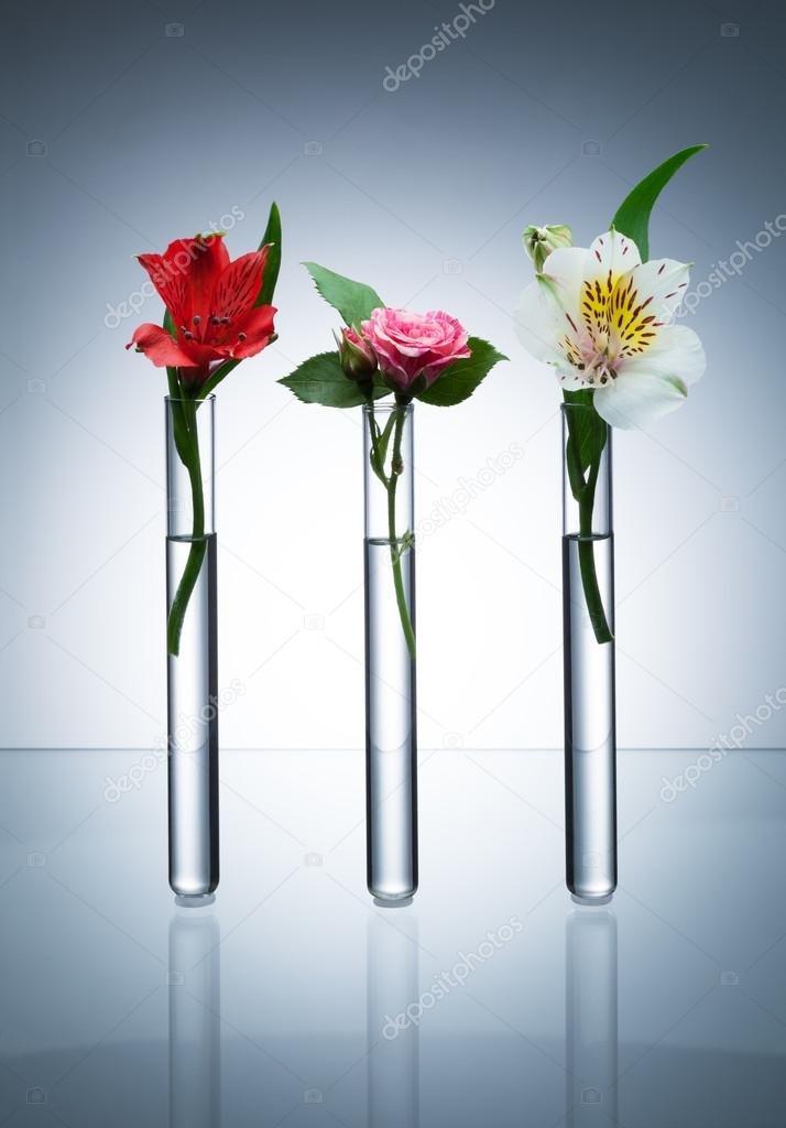 Flowers in test-tubes