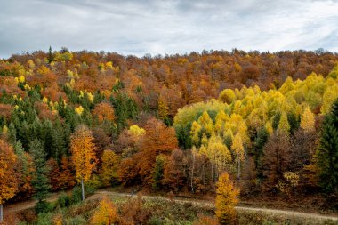 Romanya dağlarındaki güzel sonbahar manzaraları, Fantanele köyü bölgesi, Sibiu ilçesi, Cindrel dağları, Romanya