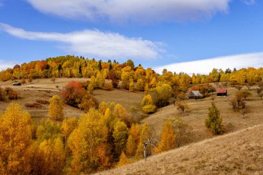 Romanya dağlarındaki güzel sonbahar manzaraları, Fantanele köyü bölgesi, Sibiu ilçesi, Cindrel dağları, Romanya
