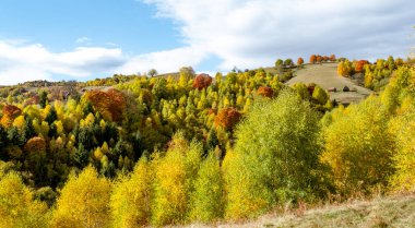 Romanya dağlarındaki güzel sonbahar manzaraları, Fantanele köyü bölgesi, Sibiu ilçesi, Cindrel dağları, Romanya