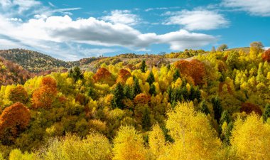 Romanya dağlarındaki güzel sonbahar manzaraları, Fantanele köyü bölgesi, Sibiu ilçesi, Cindrel dağları, Romanya