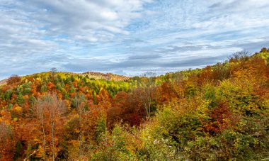 Romanya dağlarındaki güzel sonbahar manzaraları, Fantanele köyü bölgesi, Sibiu ilçesi, Cindrel dağları, Romanya