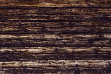 Caries 'in yediği eski ahşap tahtaların yakın plan resmi.