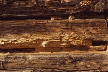 Caries 'in yediği eski ahşap tahtaların yakın plan resmi.