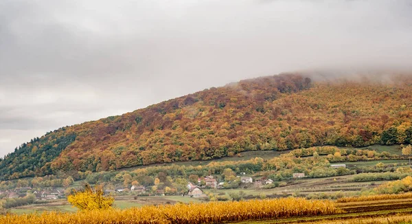 Красивые Осенние Пейзажи Румынских Горах Район Деревни Фантанеле Округ Сибиу — стоковое фото
