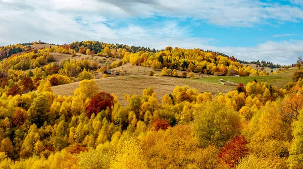 Piękne Jesienne Krajobrazy Rumuńskich Górach Obszar Wsi Fantanele Powiat Sibiu — Zdjęcie stockowe