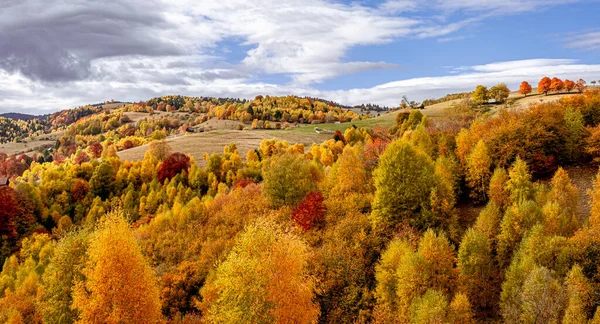 Hermosos Paisajes Otoñales Las Montañas Rumanas Zona Del Pueblo Fantanele —  Fotos de Stock