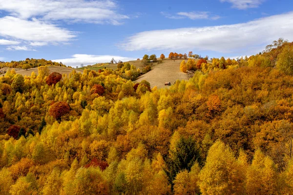 Schöne Herbstlandschaften Den Rumänischen Bergen Fantanele Dorfgebiet Sibiu County Cindrel — Stockfoto