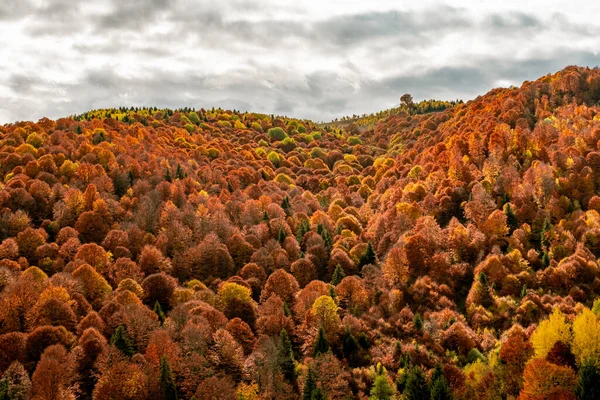 Indah Lanskap Musim Gugur Pegunungan Rumania Fantanele Desa Daerah Kabupaten — Stok Foto