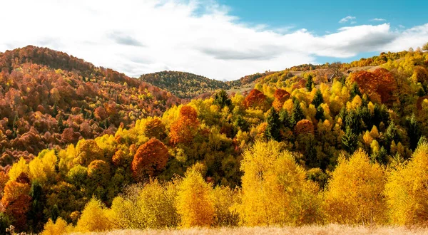 Beaux Paysages Automne Dans Les Montagnes Roumaines Région Village Fantanele — Photo