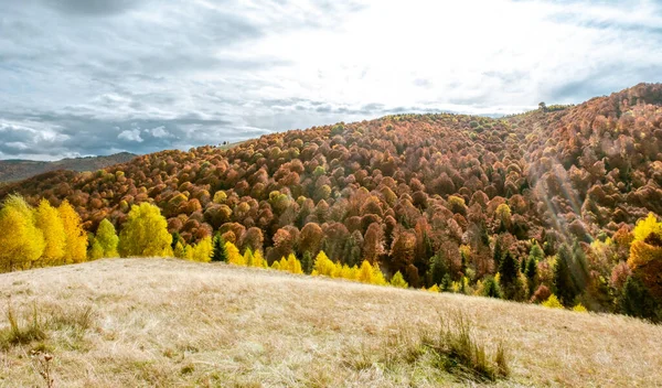 Hermosos Paisajes Otoñales Las Montañas Rumanas Zona Del Pueblo Fantanele —  Fotos de Stock