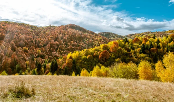 Прекрасні Осінні Краєвиди Румунських Гір Село Фантанеле Округ Сібіу Гори — стокове фото