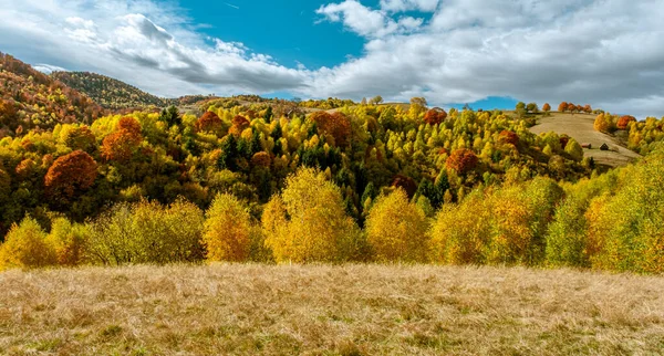 Belas Paisagens Outono Nas Montanhas Romenas Área Aldeia Fantanele Município — Fotografia de Stock