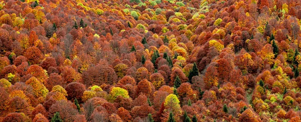 ルーマニアの山々 ファンタネレ村地域 シビウ郡 シンデレラ山 ルーマニアの美しい秋の風景 — ストック写真