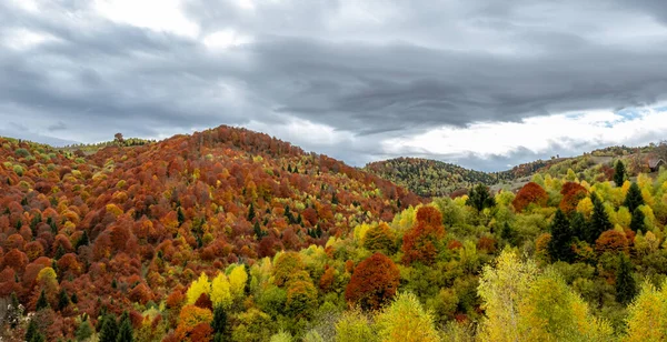 Hermosos Paisajes Otoñales Las Montañas Rumanas Zona Del Pueblo Fantanele —  Fotos de Stock