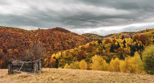 Beaux Paysages Automne Dans Les Montagnes Roumaines Région Village Fantanele — Photo