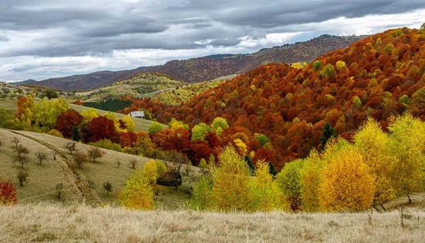 Beaux Paysages Automne Dans Les Montagnes Roumaines Région Village Fantanele — Photo