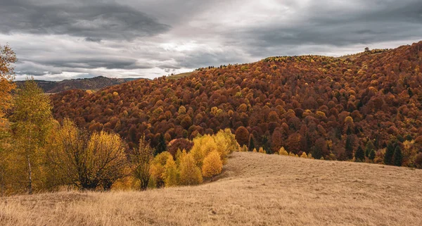 Schöne Herbstlandschaften Den Rumänischen Bergen Fantanele Dorfgebiet Sibiu County Cindrel — Stockfoto