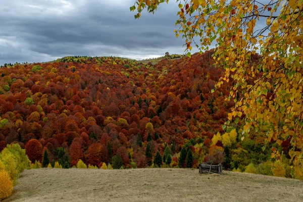 Schöne Herbstlandschaften Den Rumänischen Bergen Fantanele Dorfgebiet Sibiu County Cindrel — Stockfoto