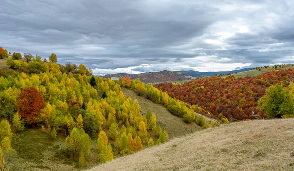 Krásné Podzimní Krajiny Rumunských Horách Fantanele Vesnice Oblasti Sibiu Kraj — Stock fotografie