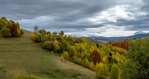 Krásné Podzimní Krajiny Rumunských Horách Fantanele Vesnice Oblasti Sibiu Kraj — Stock fotografie