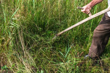 Bir adam tırpanla çimleri biçiyor.