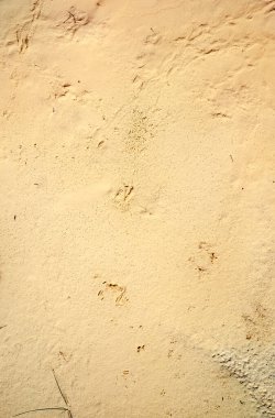 Kaolin madeninde soyut renk kum dokusu