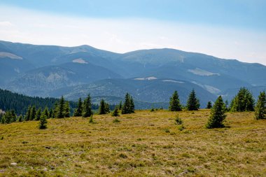 Romanya 'nın Cindrel dağlarından güzel manzara